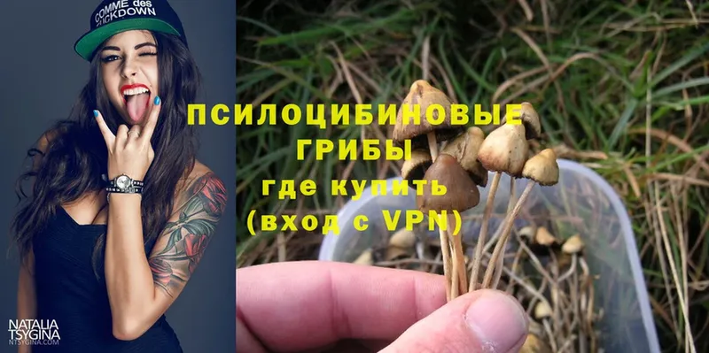 Галлюциногенные грибы Cubensis  Безенчук 